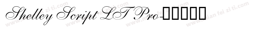 Shelley Script LT Pro字体转换